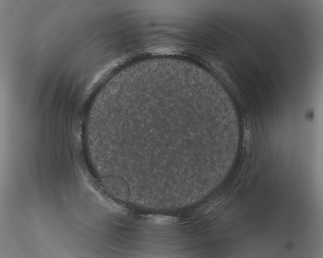 X0000116120539201001040952