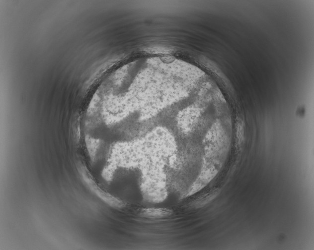X0000116120541201001040952