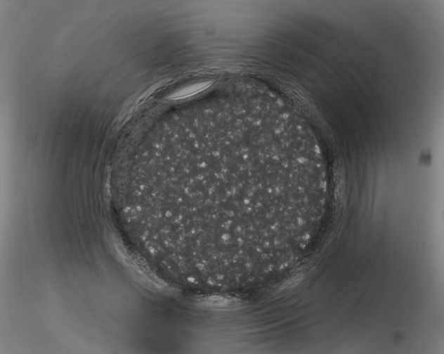 X0000116120542201001040952