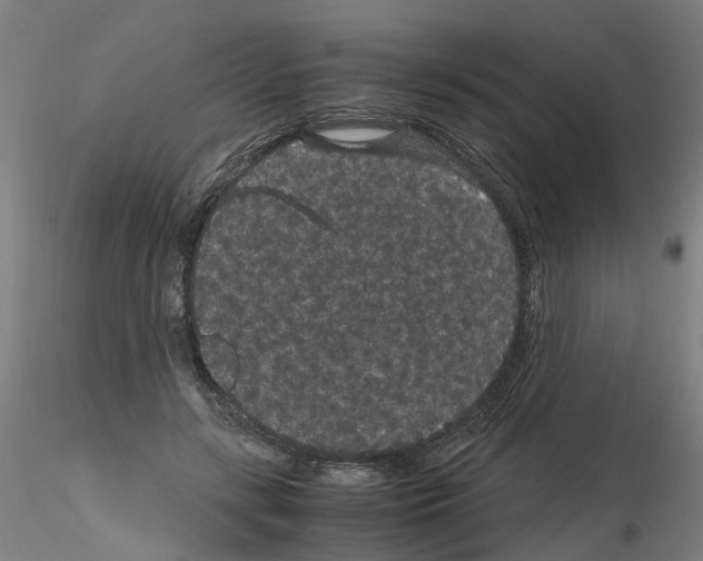 X0000116120547201001040952