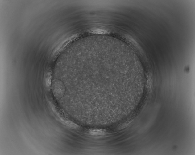 X0000116120549201001040952