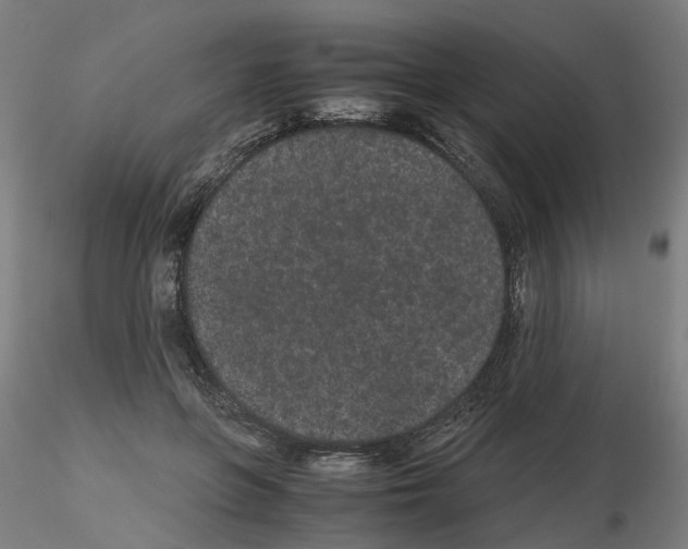 X0000116120551201001040952