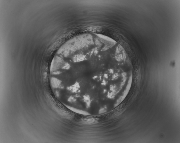 X0000116120553201001040952