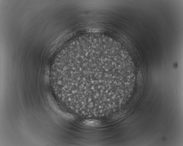 X0000116120557201001040952