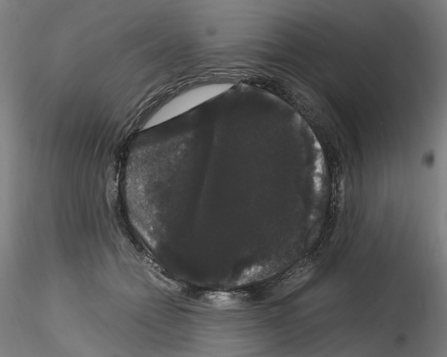 X0000116120558201001040952