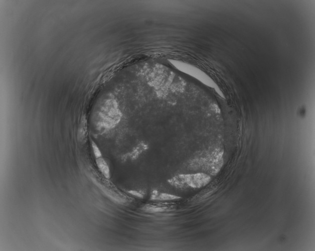 X0000116120563201001040953