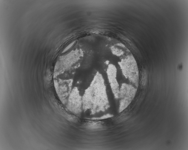 X0000116120569201001040953