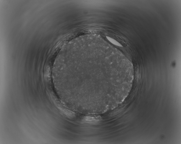 X0000116120571201001040953
