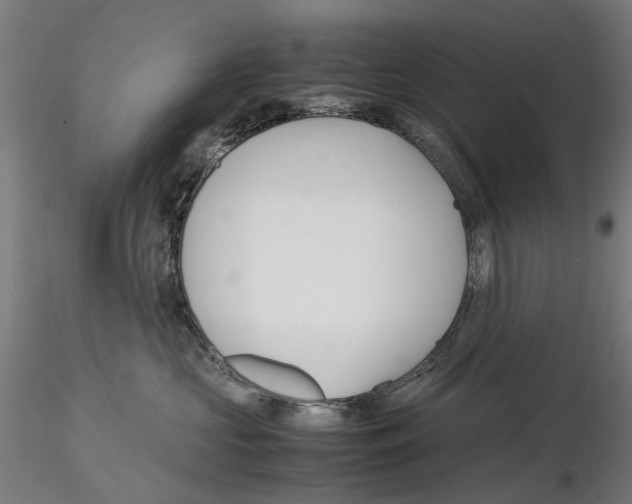X0000116120573201001040953