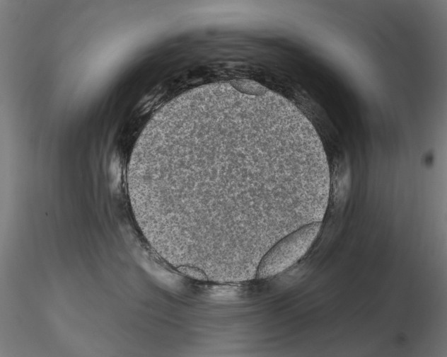 X0000116120574201001040953