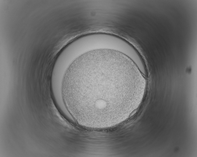 X0000116120577201001040952