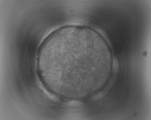 X0000116120578201001040952