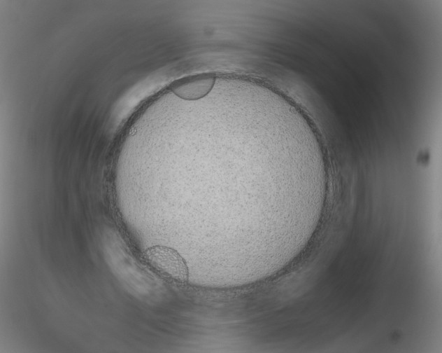 X0000116120579201001040952