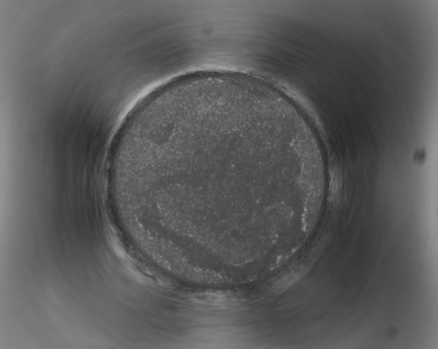 X0000116120580201001040952