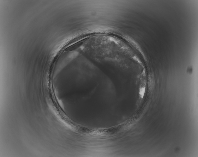 X0000116120581201001040952