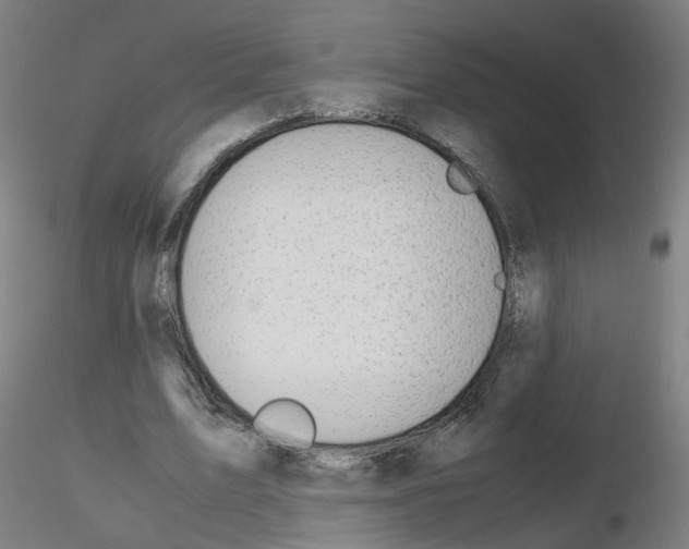 X0000116120583201001040952