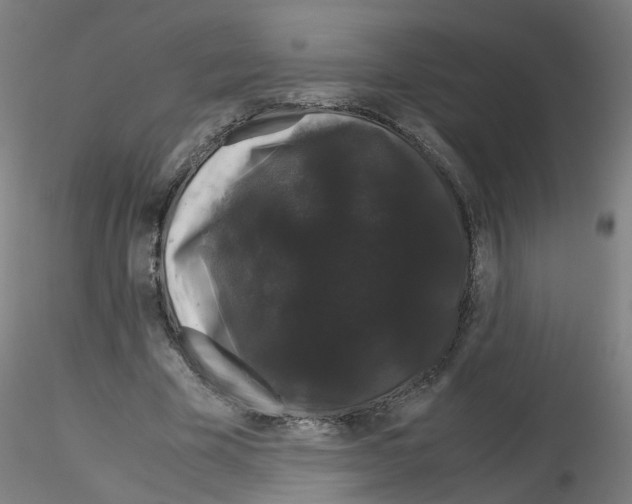 X0000116120585201001040952