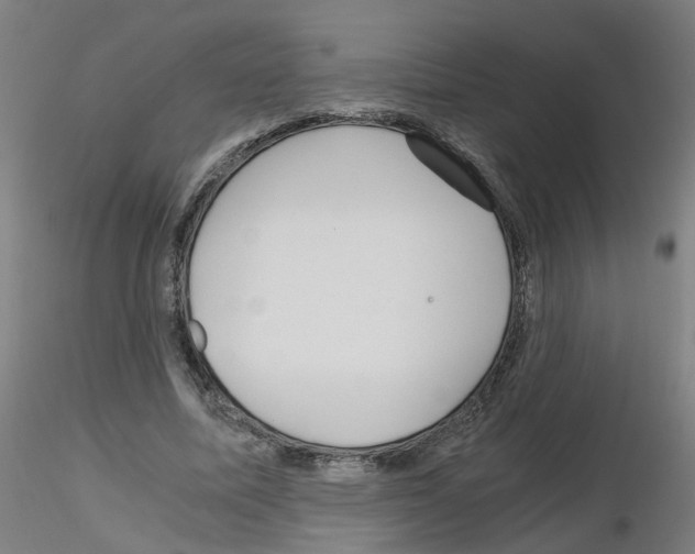 X0000116120587201001040952