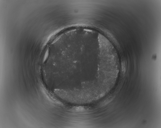 X0000116120588201001040952