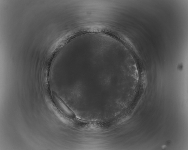 X0000116120589201001040952