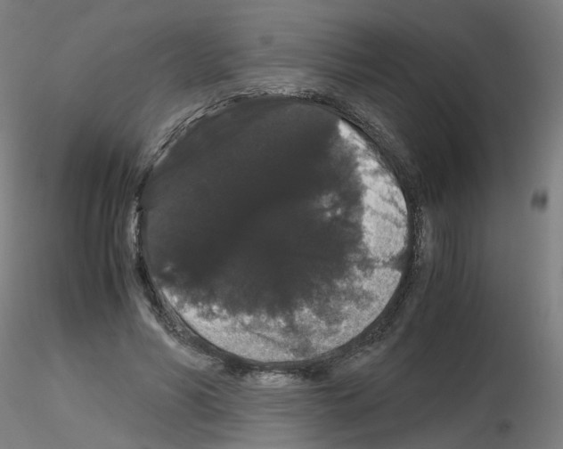 X0000116120590201001040952