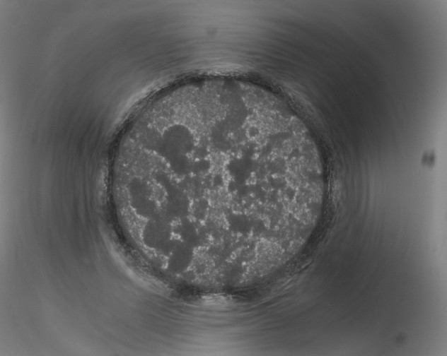 X0000116120591201001040952