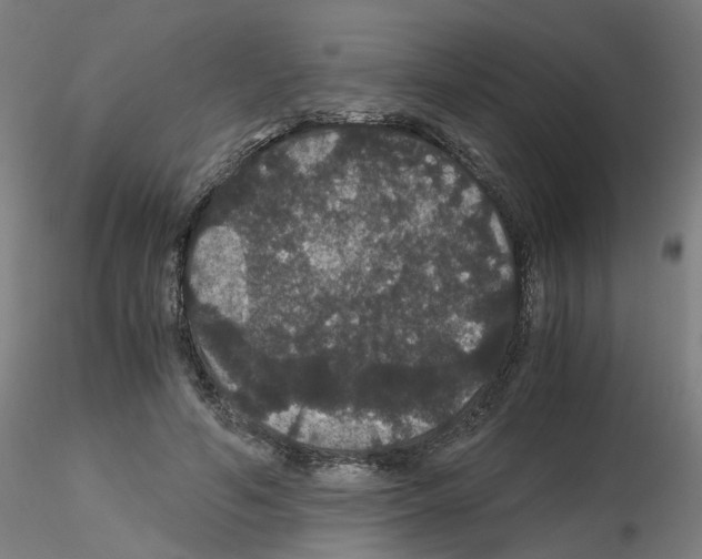 X0000116120594201001040952