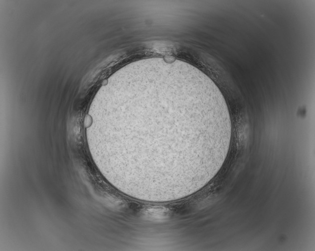 X0000116120595201001040952