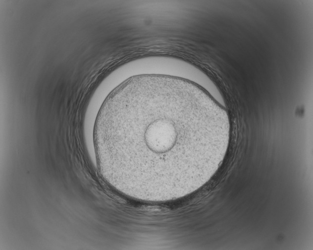 X0000116120597201001040952