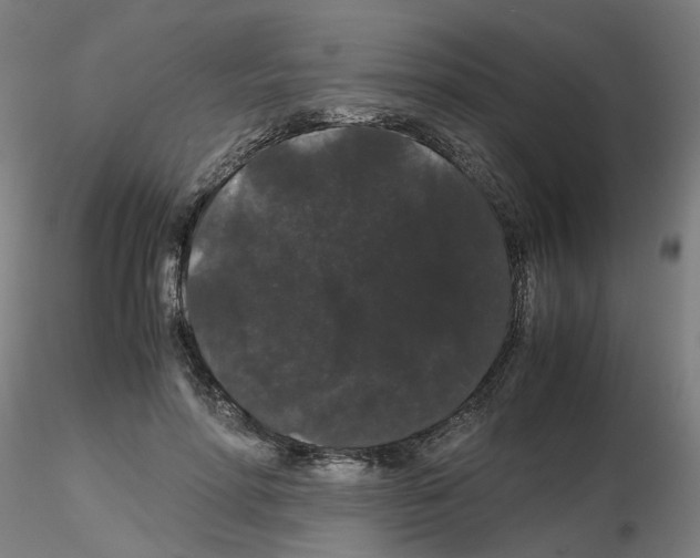 X0000116120598201001040952