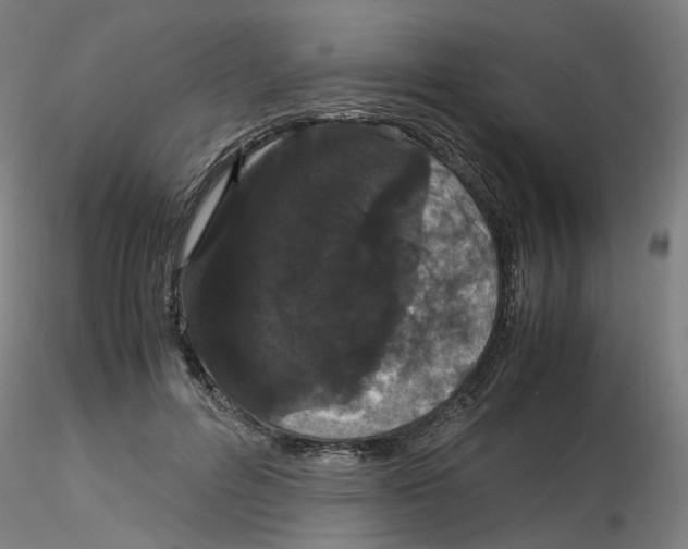 X0000116120600201001040952