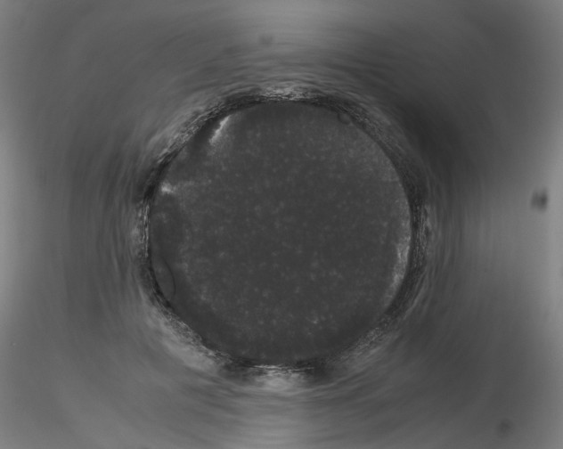 X0000116120601201001040952