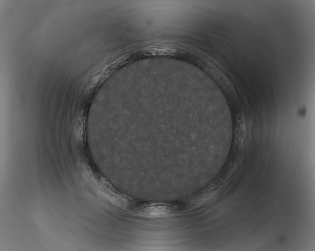 X0000116120604201001040952
