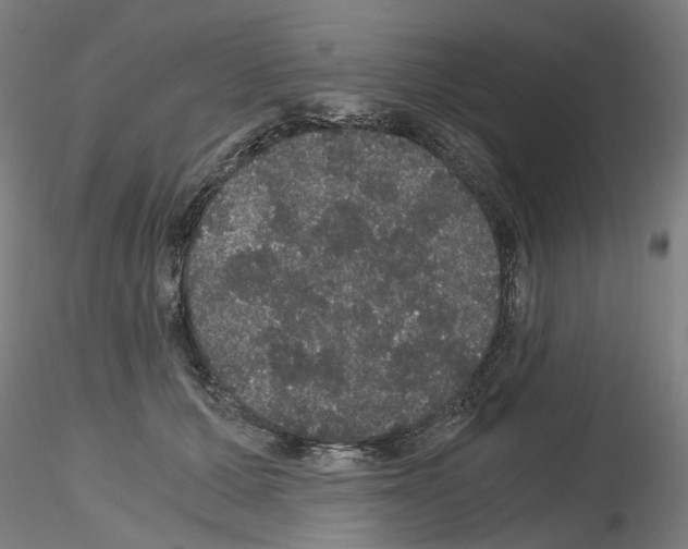 X0000116120607201001040952