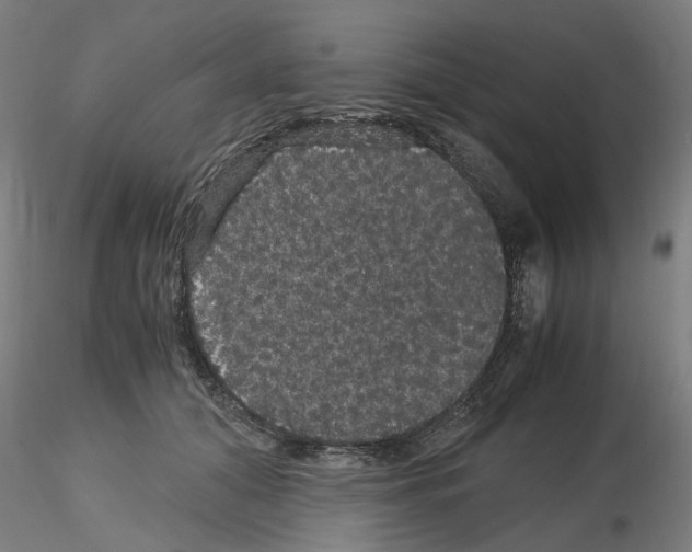 X0000116120608201001040952