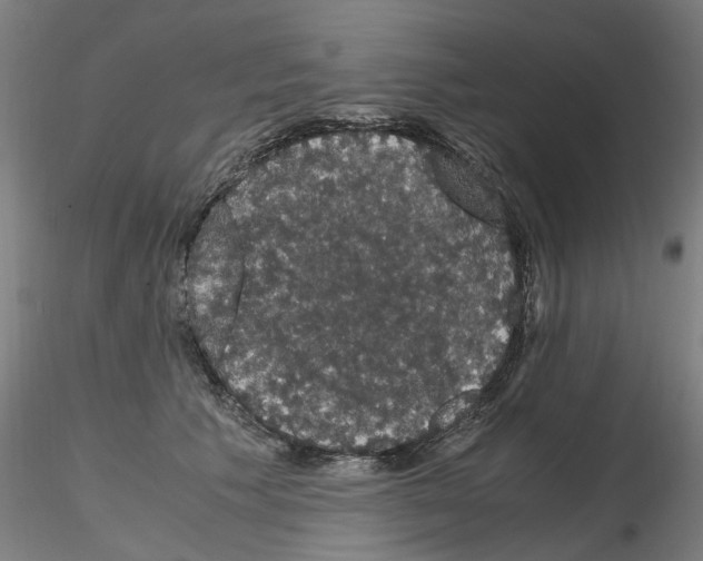 X0000116120609201001040952