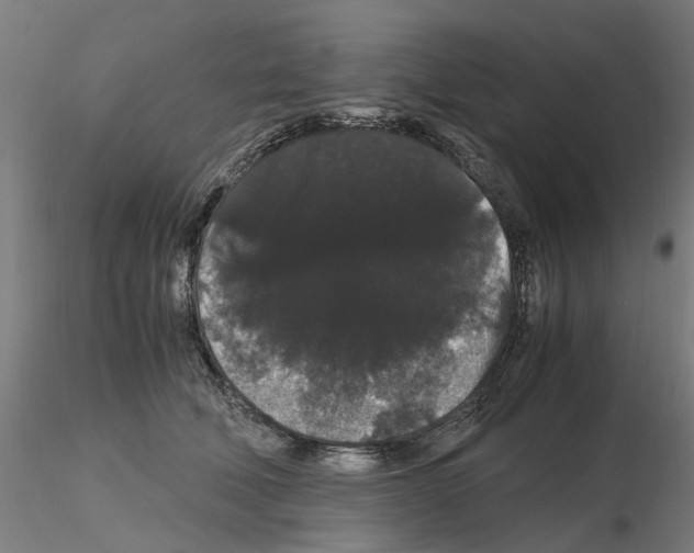 X0000116120610201001040952