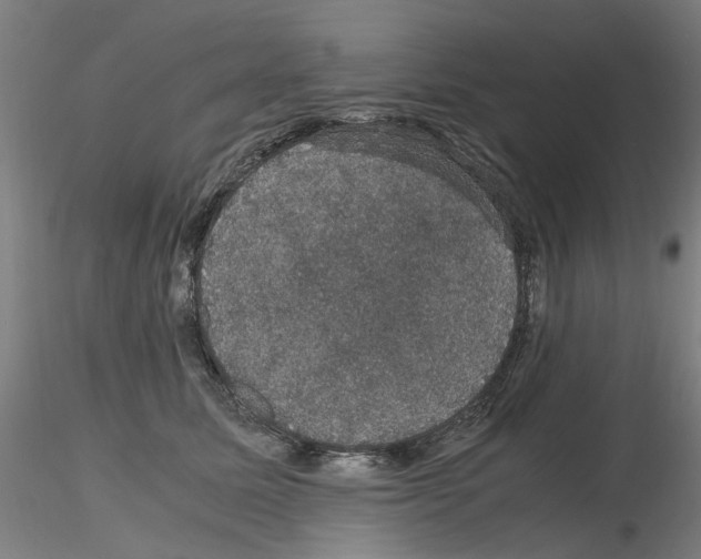 X0000116120611201001040952