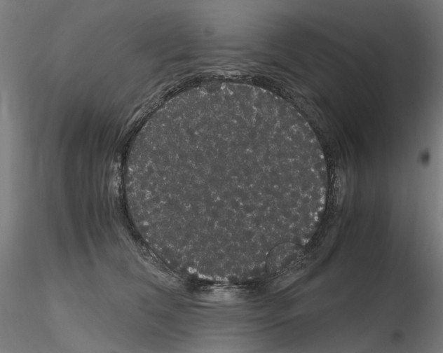 X0000116120612201001040952