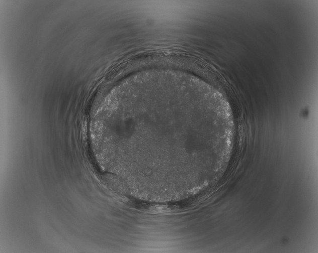 X0000116120613201001040952