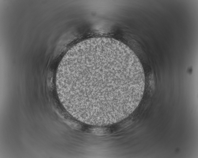 X0000116120615201001040952