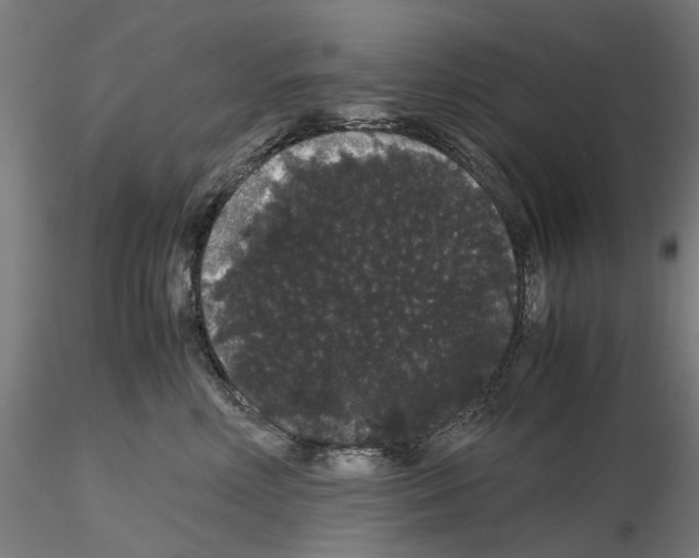 X0000116120618201001040952
