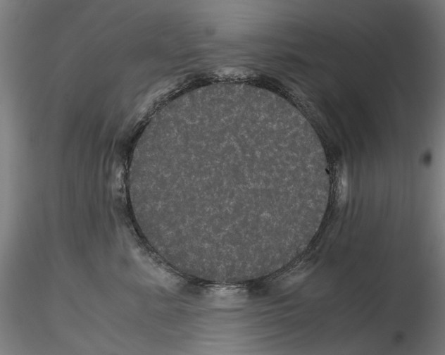 X0000116120619201001040952