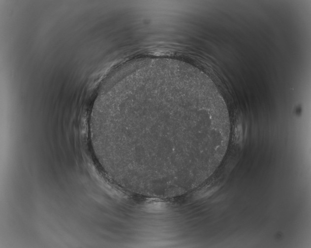 X0000116120620201001040951