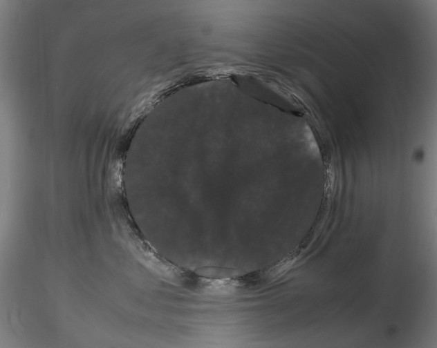 X0000116120621201001040951