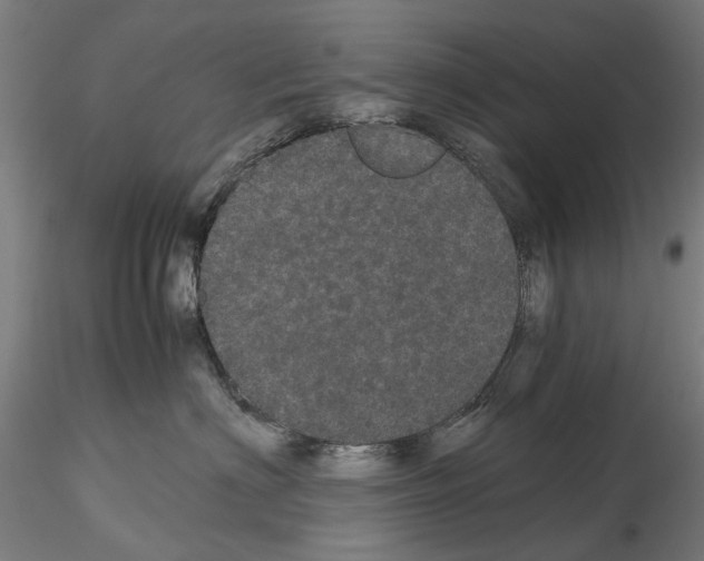 X0000116120622201001040951