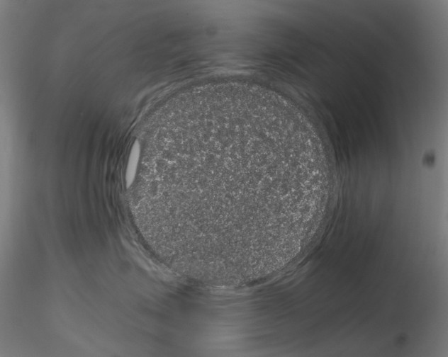 X0000116120623201001040951