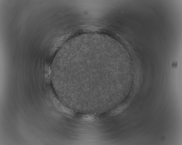 X0000116120624201001040951