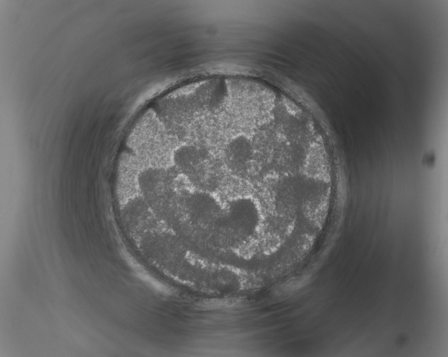 X0000116120625201001040951
