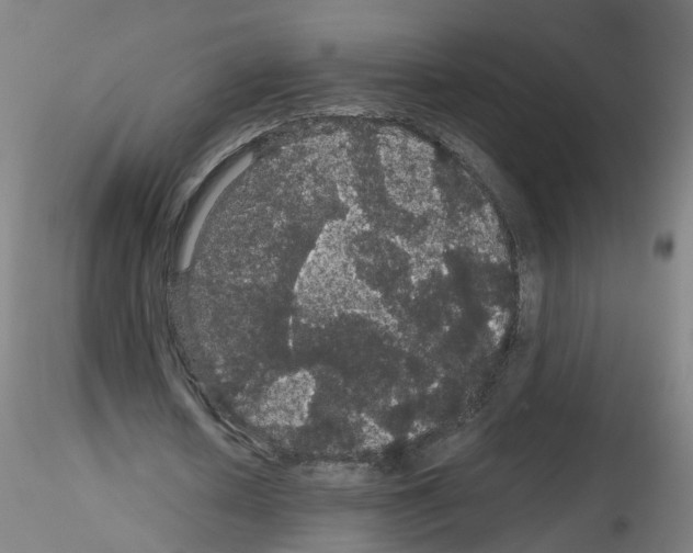X0000116120626201001040951